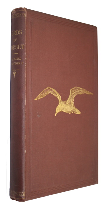 Mansel-Pleydell, J.C. - The Birds of Dorsetshire