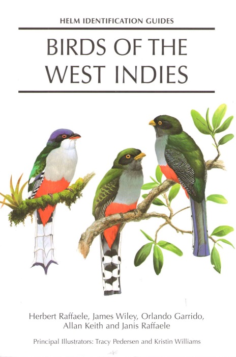 Raffaele, H.; Wiley, J.; Garrido, O.; Keith, A.; Raffaele, J. - Birds of the West Indies