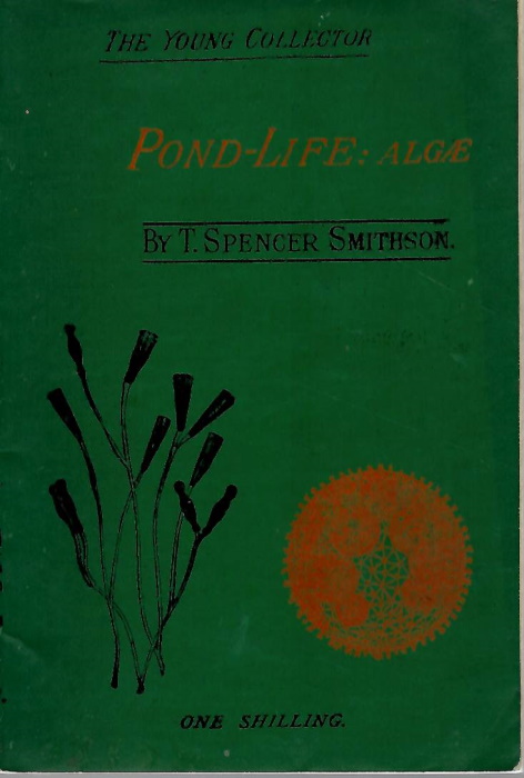 Smithson, T.S. - Pond-Life: Algae and Allied Forms (The Young Collector Series)