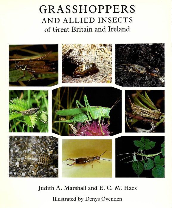 Marshall, J.A; Haes, C.M. - Grasshoppers and Allied Insects of Great Britain and Ireland