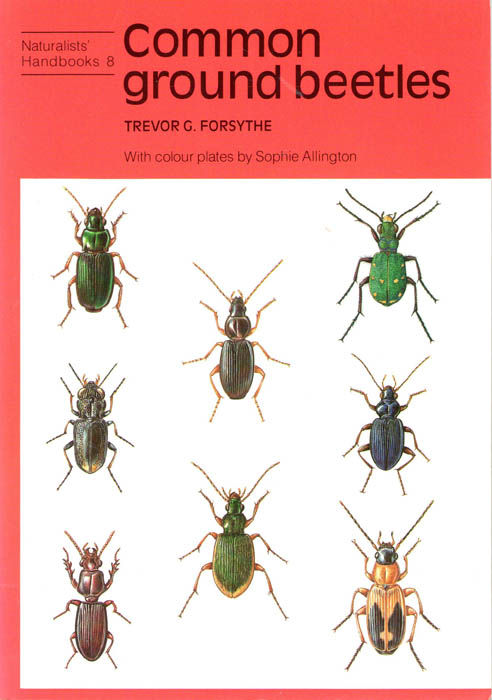 Forsythe, T.G. - Common Ground Beetles (Naturalists' Handbooks 8)