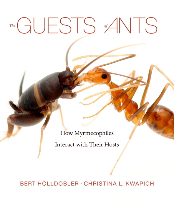 Hlldobler, B.; Kwapich, C.L. - The Guests of Ants: How Myrmecophiles Interact with Their Hosts