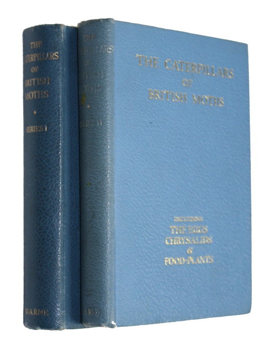 Stokoe, W.J.; Stovin, G.H.T. - The Caterpillars of British Moths. Series I-II