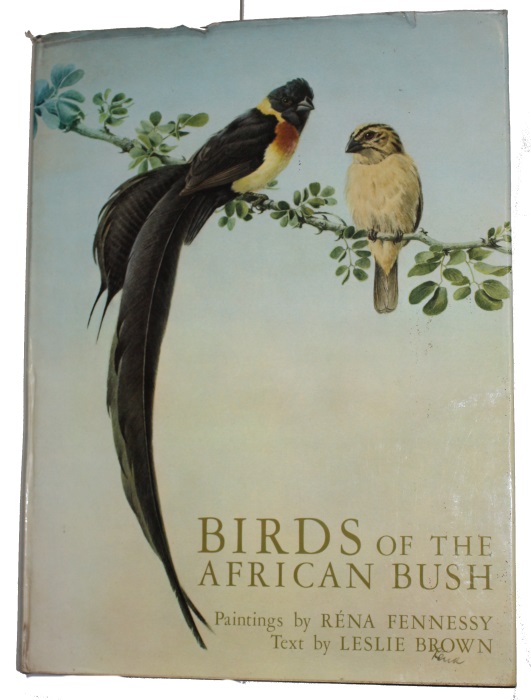 Fennessy, R.; Brown, L. - Birds of the African Bush