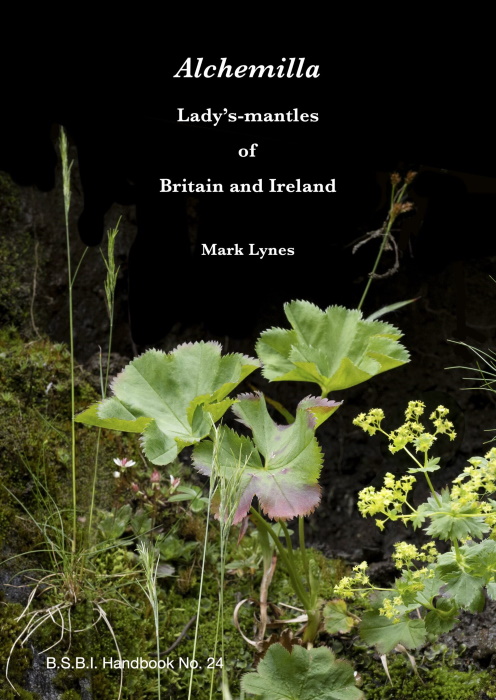 Lynes, M. - <i>Alchemilla</i>: Ladys-mantles of Britain and Ireland