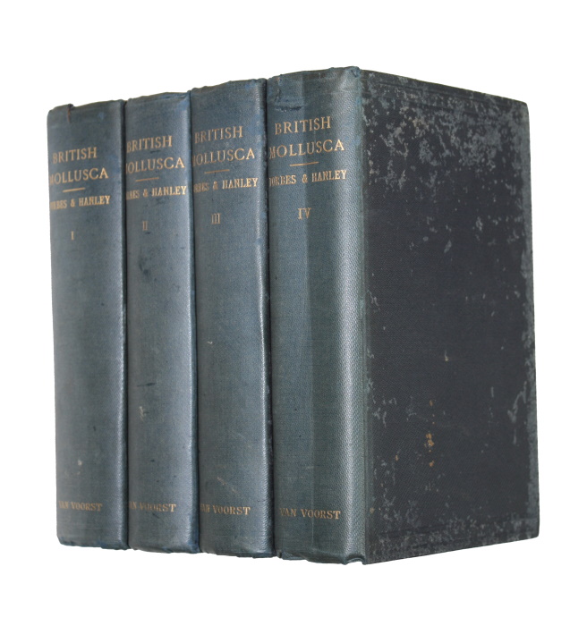 Forbes, E.; Hanley, S. - A History of British Mollusca, and their Shells