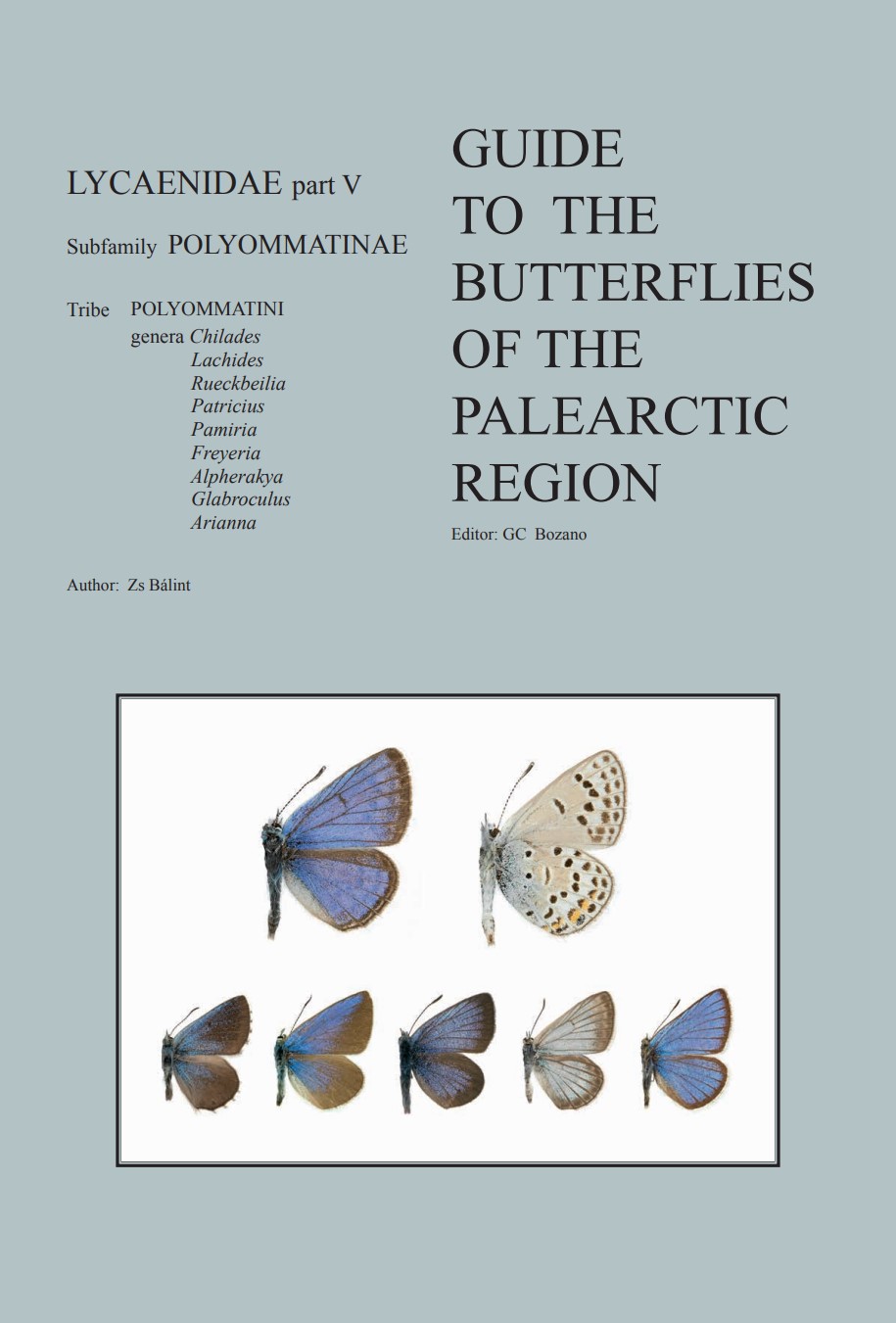 Balint, Z. - Guide to the Butterflies of the Palearctic Region: Lycaenidae 5: Tribe Polyommatini