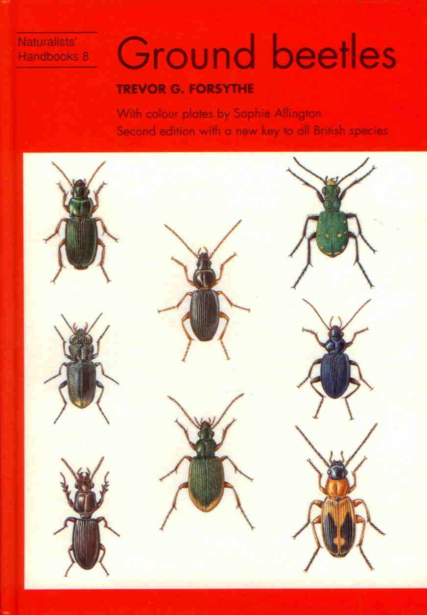 Forsythe, T.G. - Ground Beetles (Naturalists' Handbooks 8)
