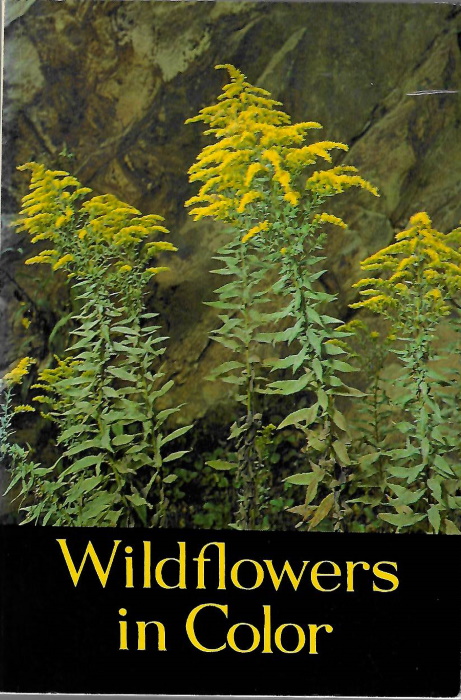 Stupka, A. - Wildflowers in Color