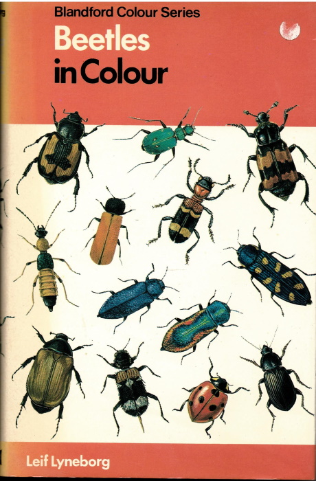 Lyneborg, L. - Beetles in Colour