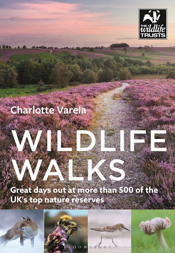 Varela, C. - Wildlife Walks: Get back to nature at more than 475 of the UK's best wild places