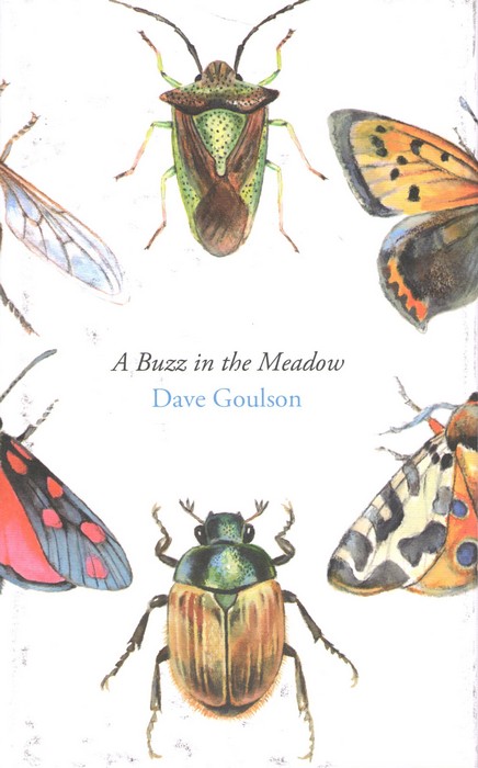 Goulson, D. - A Buzz in the Meadow