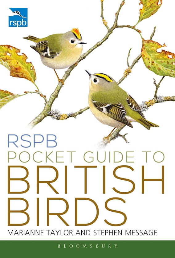 Taylor, M.; Message, S. (Illus.) - RSPB Pocket Guide to British Birds