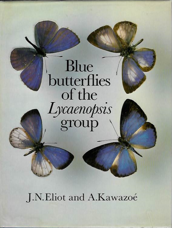Eliot, J.N.; Kawazoe, A. - Blue Butterflies of the <i>Lycaenopsis</i> group