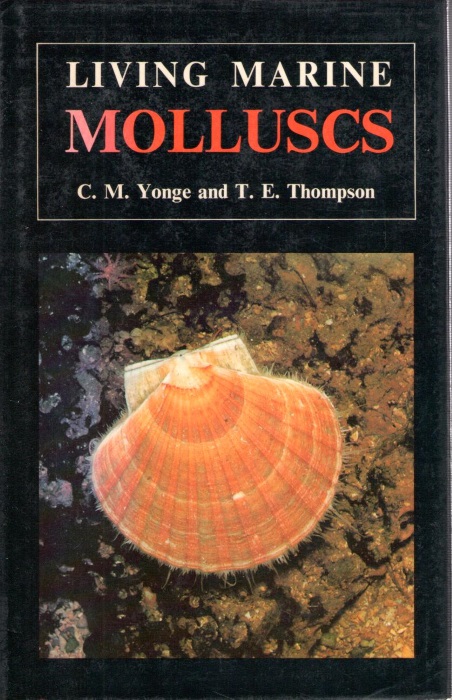Yonge, C.M.; Thompson, T.E. - Living Marine Molluscs