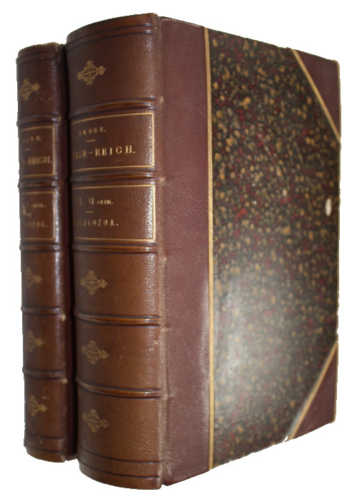 Bronn, H.G. - Die Klassen und Ordnungen des Their-Reichs  von H.G. Bronn.  Bd III: Weichthiere (Malacozoa), Abt I: Kopflose Weichthiere (Malacozoa Acephala) [and] II. Abt.: Kopftragende Weichthiere (Malacozoa cephalophora)