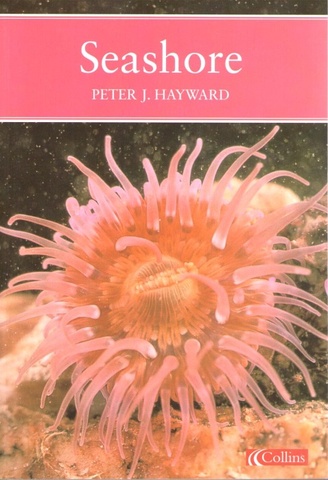 Hayward, P.J. - The Seashore (New Naturalist 94 )