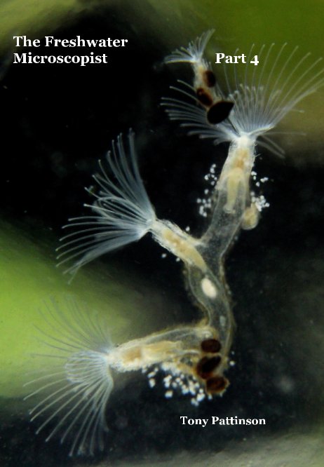Pattinson, T. - The Freshwater Microscopist. Pt 4