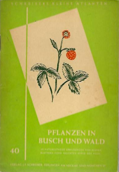  - Pflanzen in Busch und Wald(Schreibers kleine Atlanten 40)