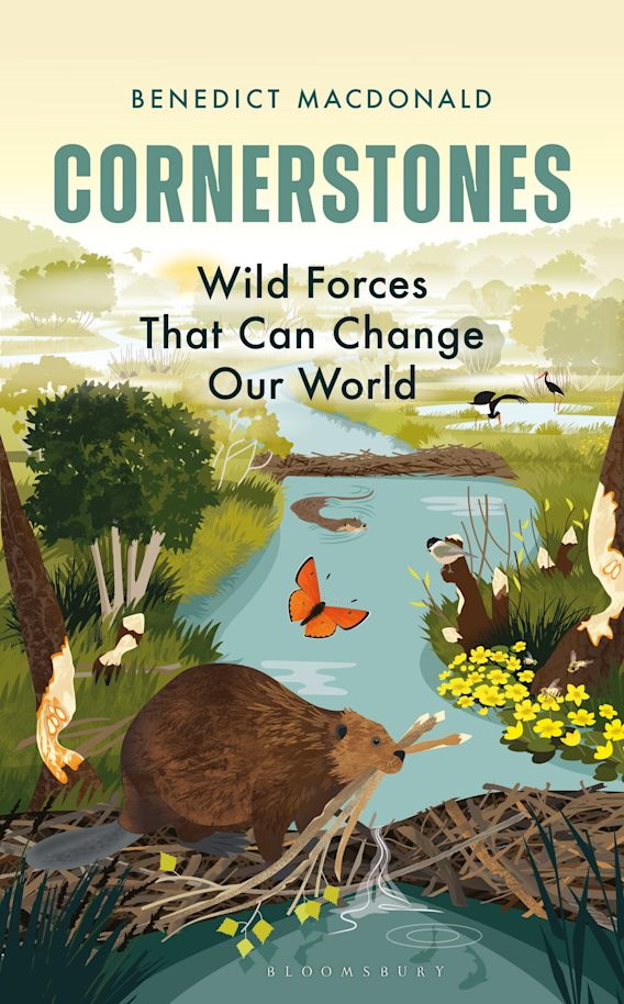 Macdonald, B. - Cornerstones: Wild forces that can change our world