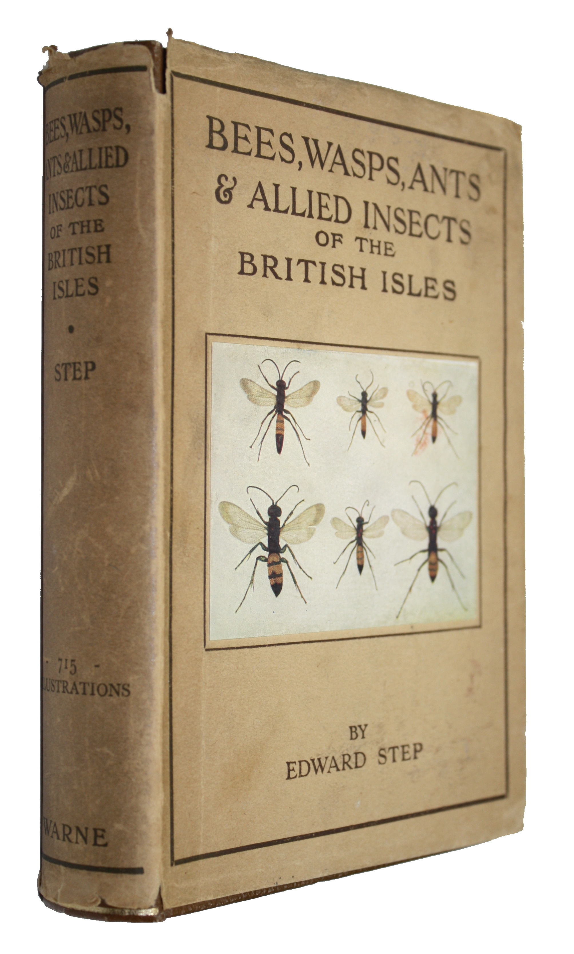 Step, E. - Bees, Wasps, Ants and Allied Insects of the British Isles