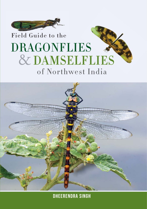 Singh, D. - Field Guide to the Dragonflies & Damselflies of Northwest India