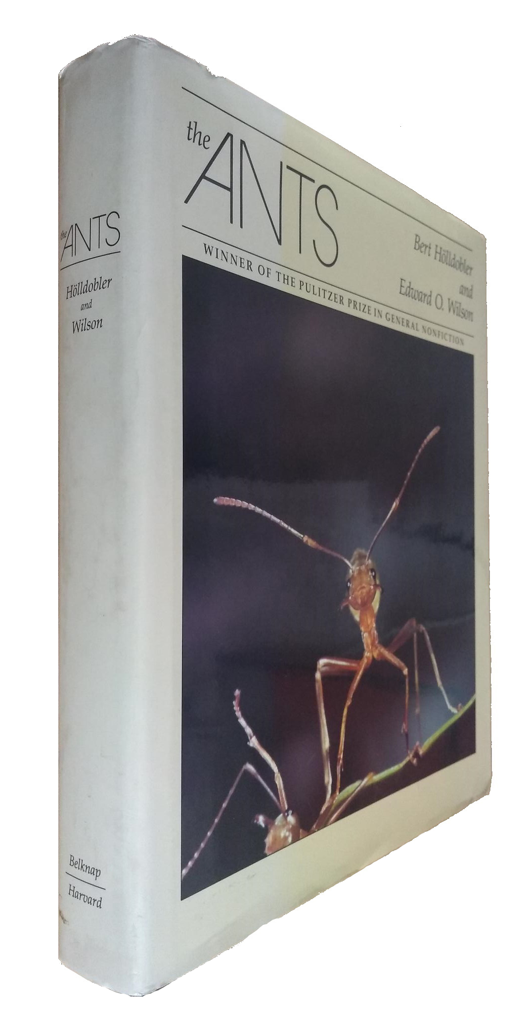 Hlldobler, B.; Wilson, E.O. - The Ants
