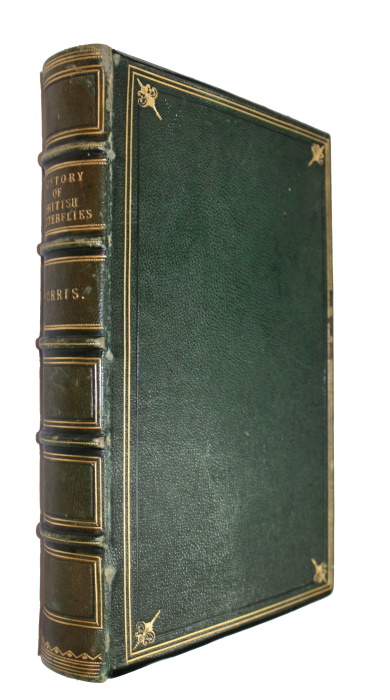 Morris, F.O. - A History of British Butterflies