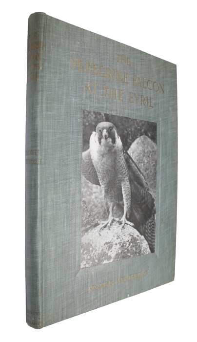 Heatherley, Francis - The Peregrine Falcon at the Eyrie