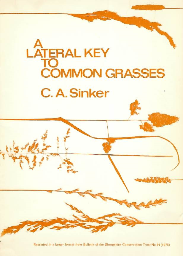 Sinker, C.A. - A lateral key to common grasses