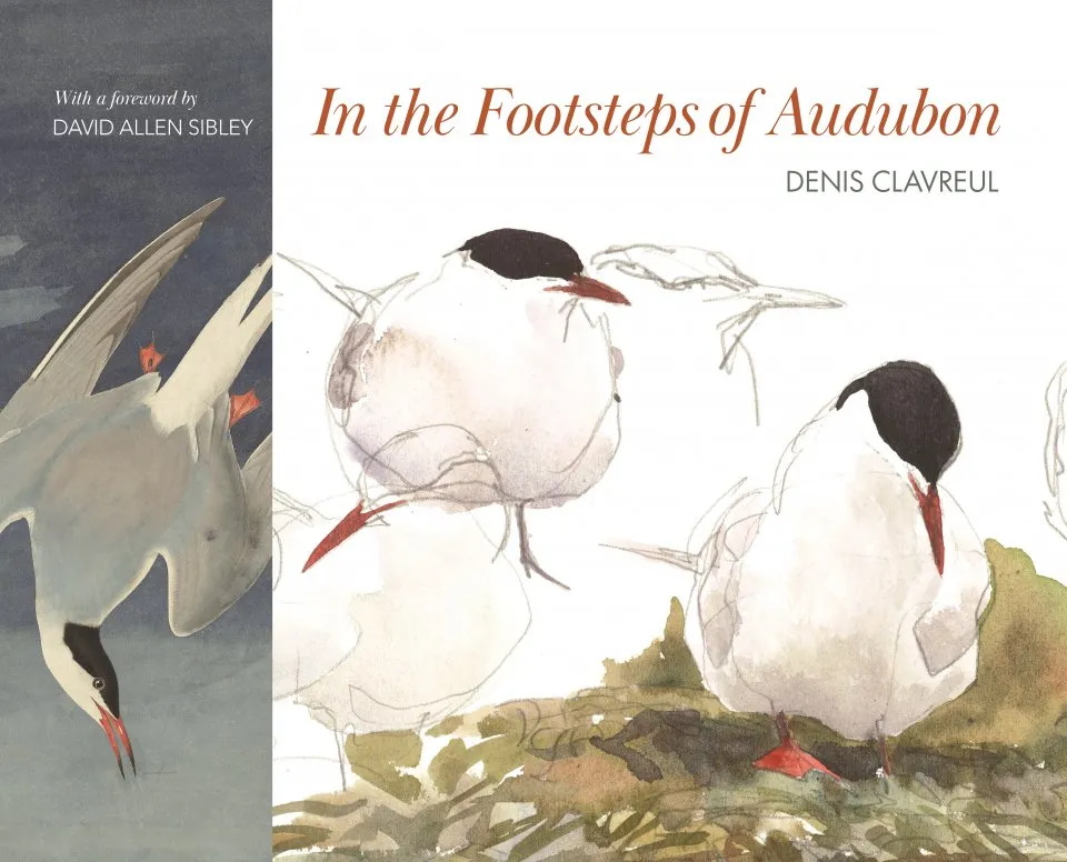Clavreul, D. - In the Footsteps of Audubon