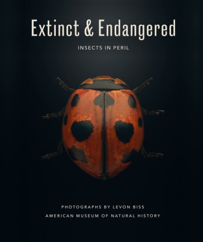 American Museum of Natural History; Biss, L. (Photographer) - Extinct & Endangered: Insects in Peril