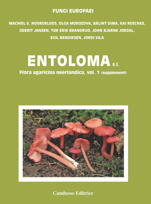 Noordeloos, M.E.; Morozova, O.; Dima, B.; Reschke, K.; Jansen, G.; Brandrud, T.E.; Bjarne Jordal, J.; Bendiksen, E.; Vila, J. - Entoloma s.l. Flora agaricina neerlandica, Vol. 1 (Supplement). Fungi Europaei 5B