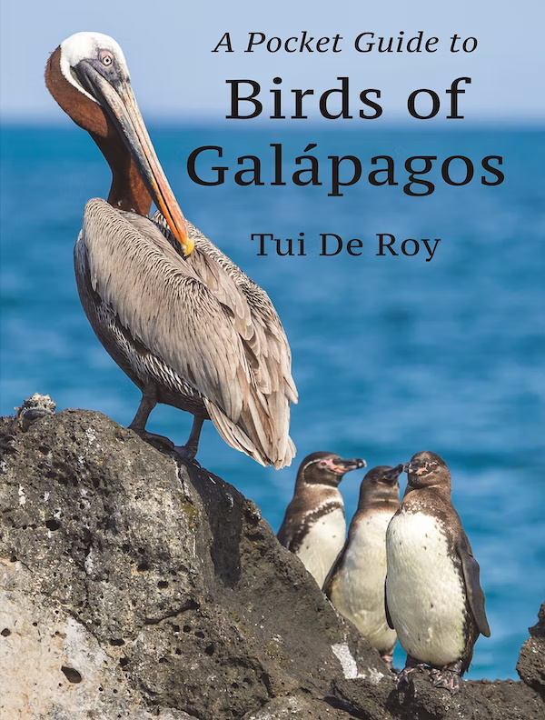 de Roy, T. - A Pocket Guide to Birds of Galapagos