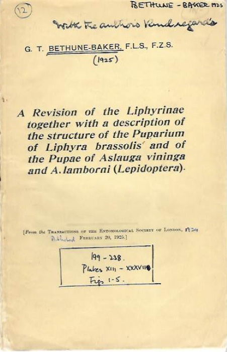 Bethune-Baker, G.T. - A Revision of the <i>Liphyrinae</i> together with a description of the structure of the puparium of <i>Liphyra brassolis</i>and of the pupae of <i>Aslauga vininga</i> and <i>A. lamborni (Lepidoptera)