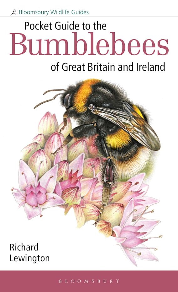 Lewington, R. - Pocket Guide to the Bumblebees of Great Britain and Ireland