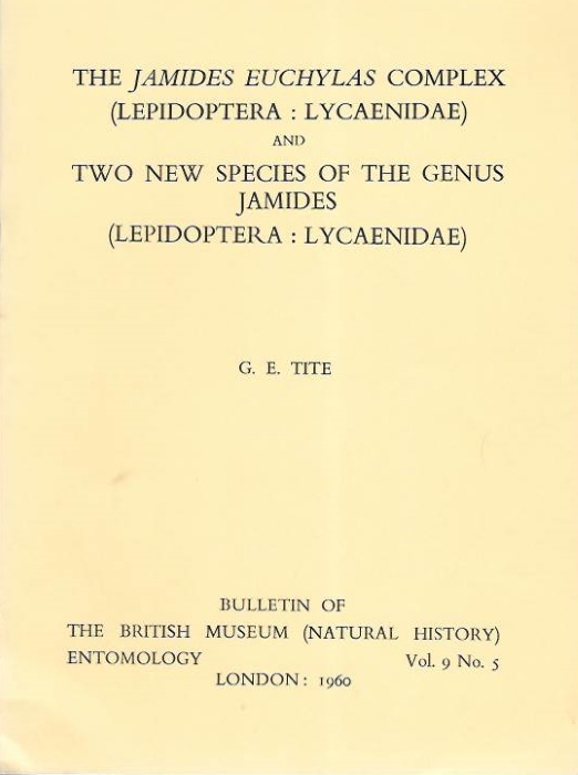 Tite, G.E. - The <i>Jamides euchylas</i> complex (Lepidoptera: Lycaenidae) and Two new species of the genus <i>Jamides</i> (Lepidoptera: Lycaenidae)