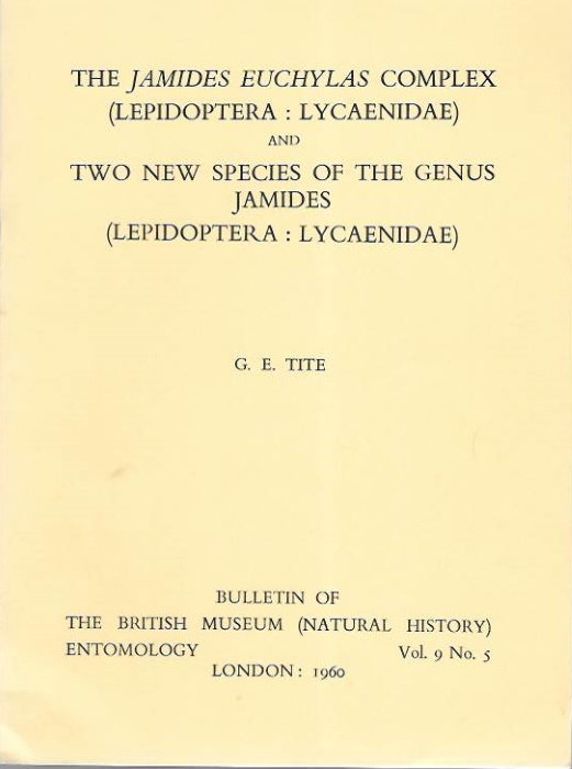 Tite, G.E. - The <i>Jamides euchylas</i> complex (Lepidoptera: Lycaenidae) and Two new species of the genus <i>Jamides</i> (Lepidoptera: Lycaenidae)