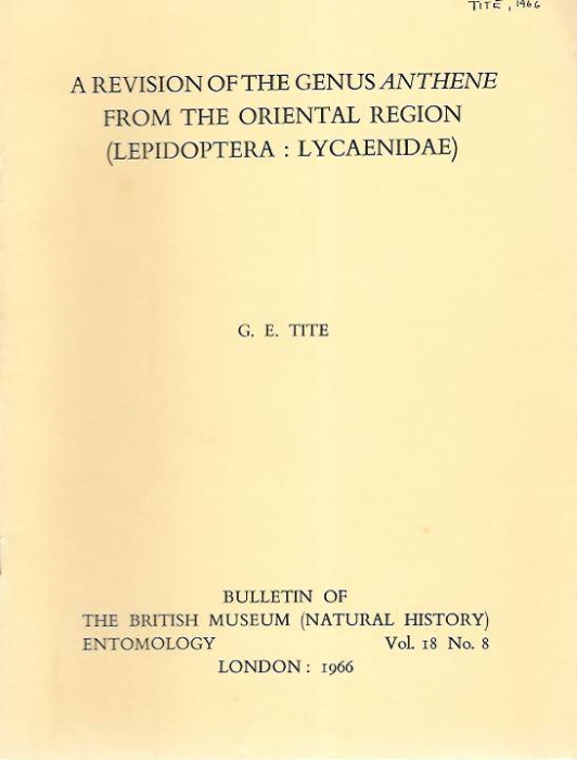 Tite, G.E. - A Revision of the Genus Candalides and Allied Genera (Lepidoptera: Lycaenidae)