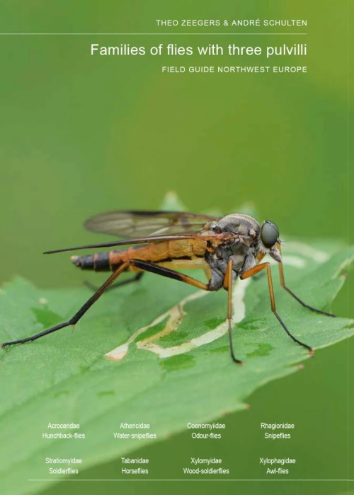 Zeegers, T.; Schulten, A. - Families of Flies with Three Pulvilli: Field Guide Northwest Europe
