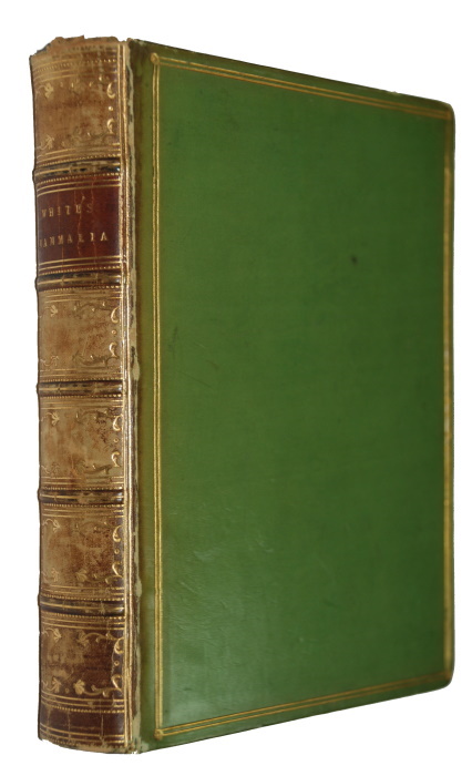 White, Adam - A Popular History of Mammalia; comprising a familiar Account of their Classification and Habits