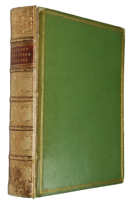 Catlow, M.E. - Popular Scripture Zoology, containing a familiar History of the Animals mentioned in the Bible