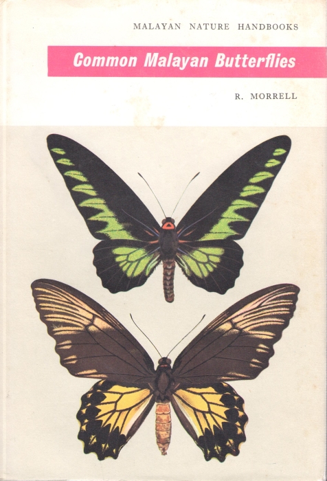 Morrell, R. - Common Malayan Butterflies (Malayan Nature Handbooks)