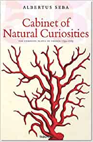 Seba, Albertus - Cabinet of Natural Curiosities / Das Naturalien-kabinett / Le Cabinet des Curiosits Naturelles: Locupletissimi rerum naturalium thesauri, 1734-1765