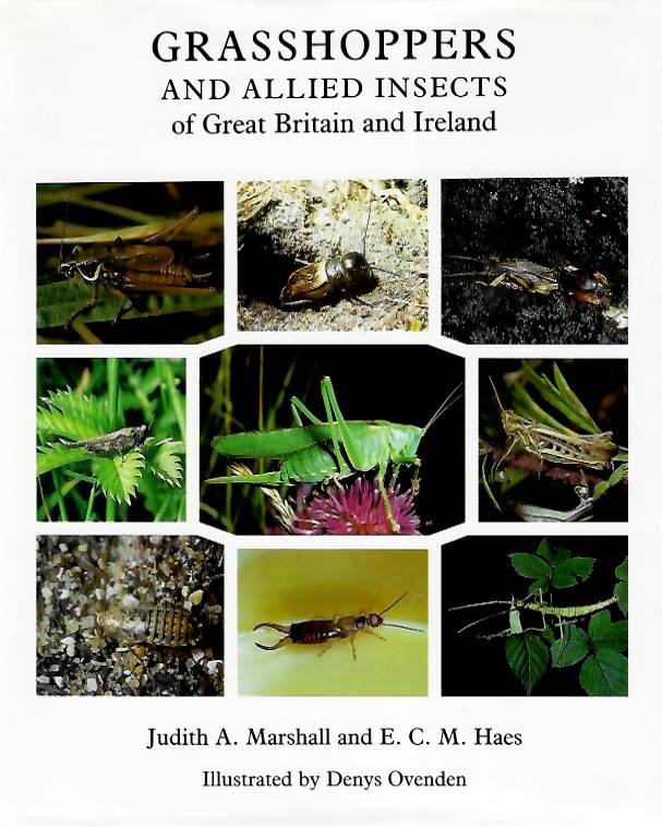 Marshall, J.A; Haes, C.M. - Grasshoppers and Allied Insects of Great Britain and Ireland
