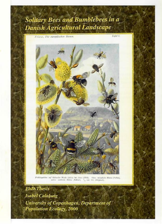Calabuig, I. - Solitary Bees and Bumblebees in a Danish Agricultural Landscape