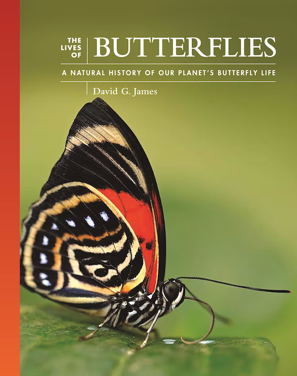 James, D.G.; Lohman, D.J. - The Lives of Butterflies: A Natural History of Our Planet's Butterfly Life