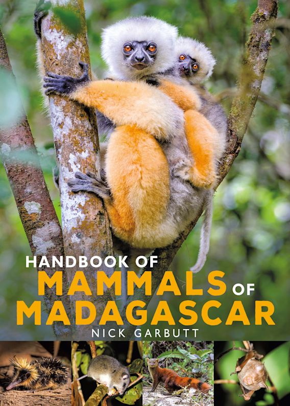 Garbutt, N. - Handbook of Mammals of Madagascar