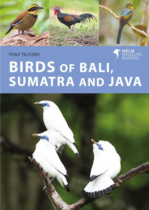 Tilford, T. - Birds of Bali, Sumatra and Java