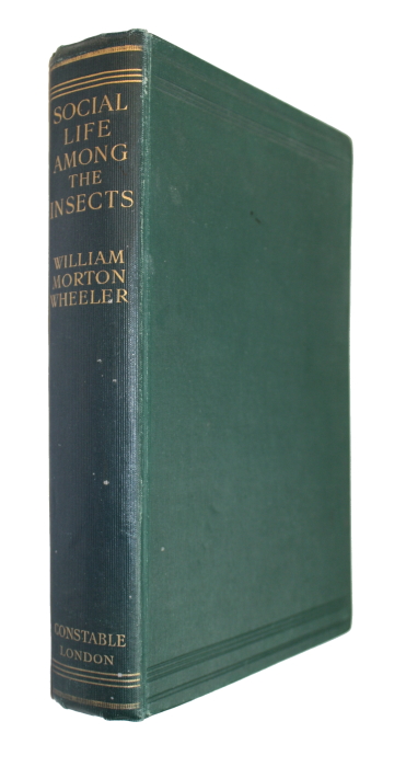 Wheeler, W.M. - Social Life Among the Insects